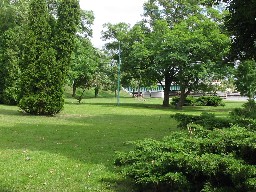Park w Wolinie