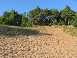 Plaa w Wolinie - charakterystyczne odnogi zamykajce wewntrz zielon wysepk w ksztacie serca