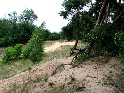 Plaa w Wolinie - wejcie na Wzgrze Wisielcw