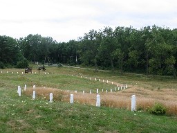 Rezerwat Archeologiczny Wzgrze Wisielcw na Wolinie